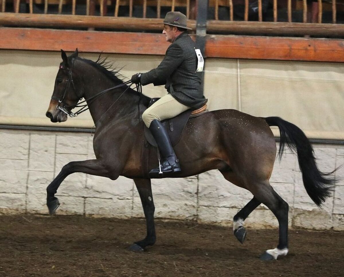 Wilanmar Kavalier