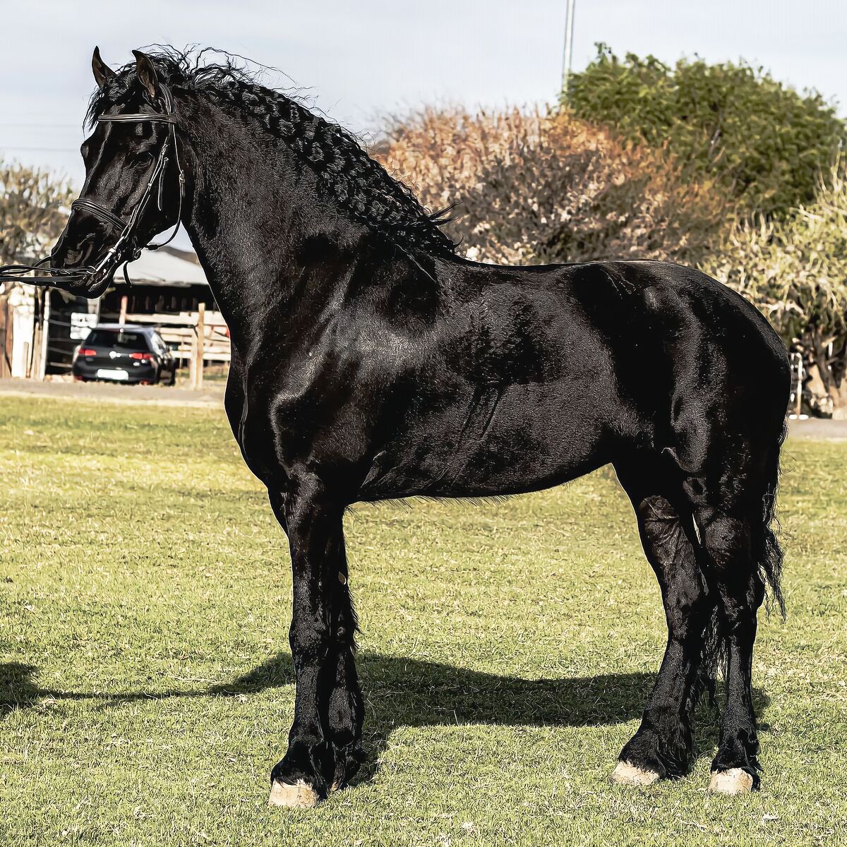 Imcke Van Doorndraai