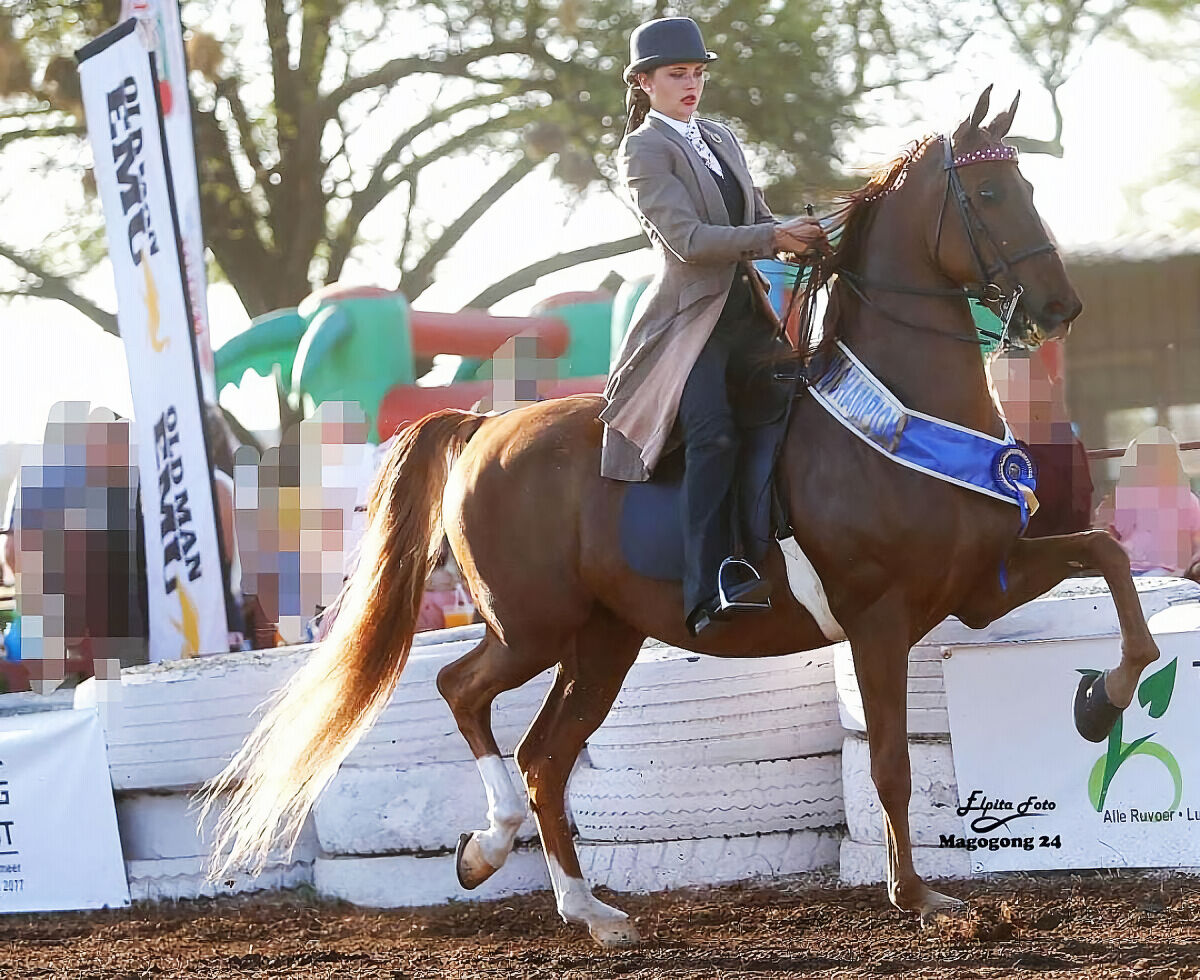 PCB Rhino Mustang Warrior