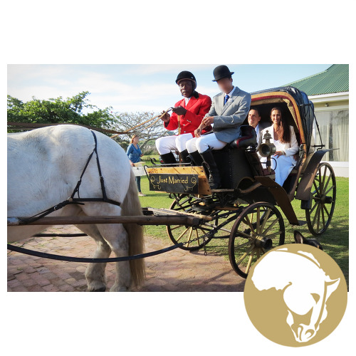 1844 Antique Carriage - full driving condition