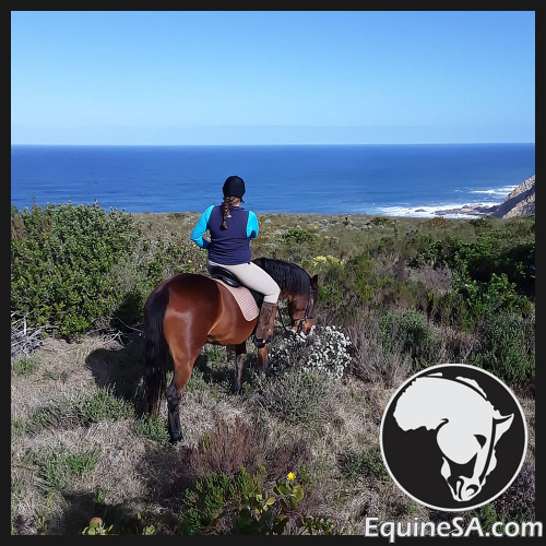 Part-Time Position Offered for Horse Trail Site Guide