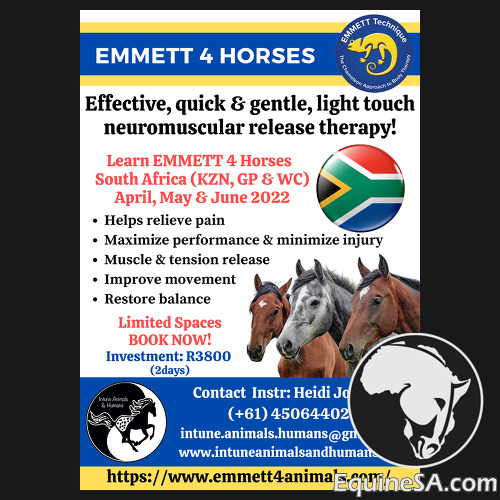 EMMETT Technique 4 Horses - Level 1 course