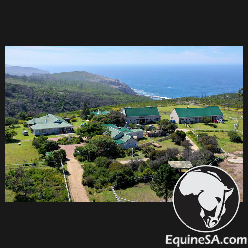 T'Niqua Stable Inn Equestrian Estate (5.3ha)