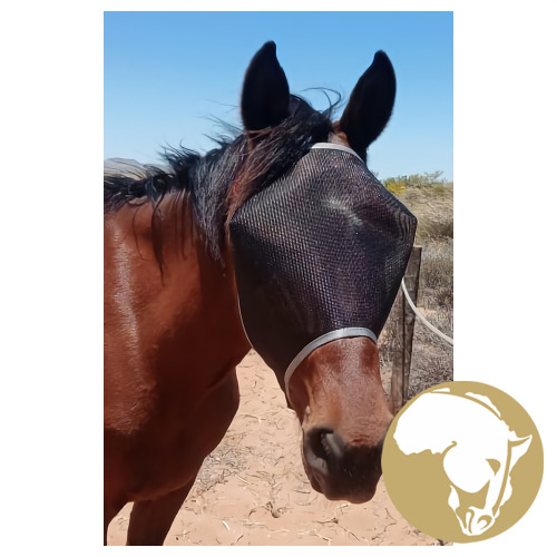 Horse Flymasks with & without nose pieces