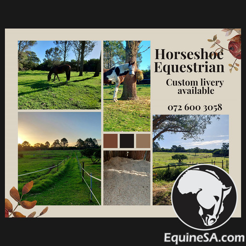 Horseshoe Equestrian - Home of the ultimate coastal Livery