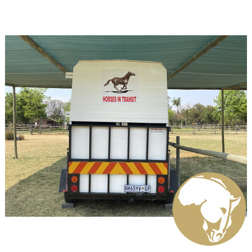 Nutti Horsebox for sale